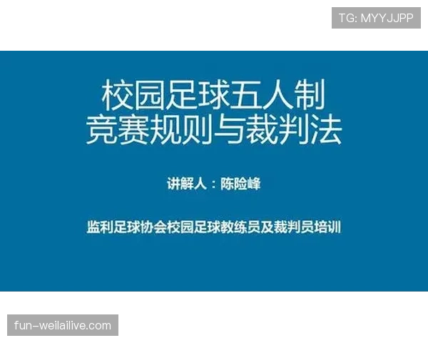 足球判罚标准详解：关键规则与裁判执行细节解析