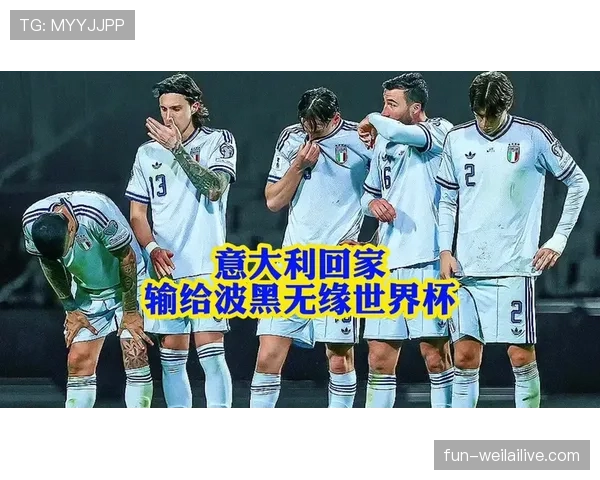 波黑能否打破世界杯B组传统格局 波黑能否打破世界杯B组传统格局