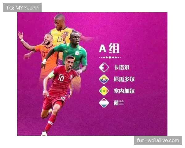 世界杯A组控球率排行榜